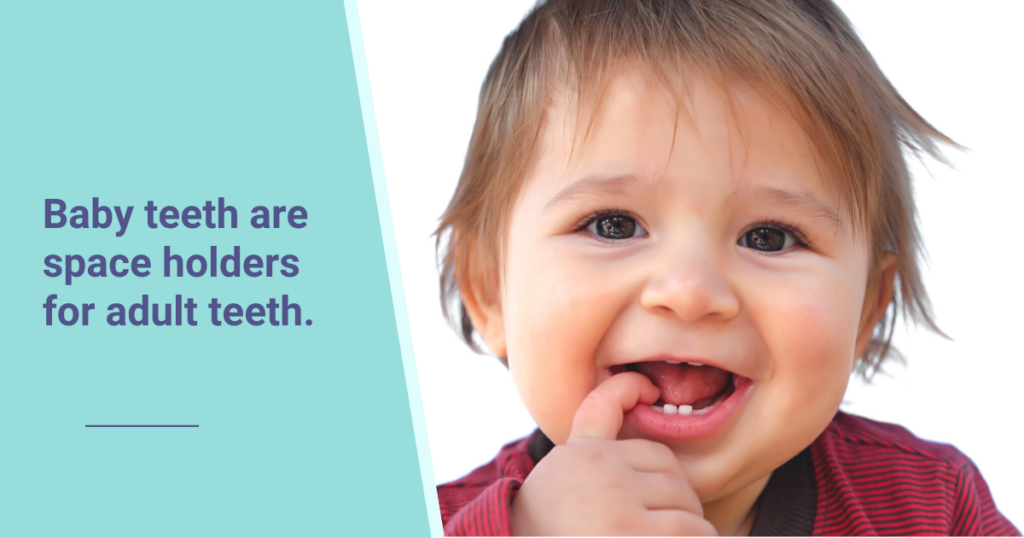 Baby teeth hold space for adult teeth